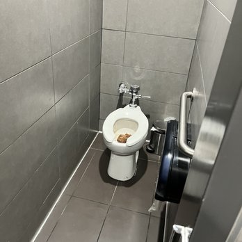 McDonald's - a toilet in a stall - Fast Food Near Me - Cordele, Georgia McDonald's - a toilet in a stall - Fast Food Near Me - Cordele, Georgia