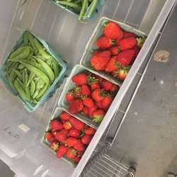 Urban Earth Farms - Produce