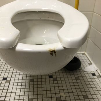 LA Fitness - Crap strained toilet. Unbelievable. Reported it immediately to the desk. 40 minutes later, still there. So I decided to share. - Gyms Near Me - Howard Beach, New York