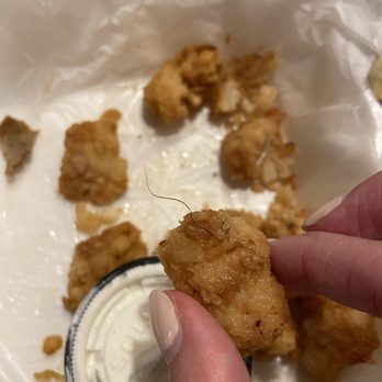 The Stein & Vine - Gross hair on tots.... - Bars Near Me - Brandon, Florida The Stein & Vine - Gross hair on tots.... - Bars Near Me - Brandon, Florida