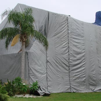 Bed Bug Fumigation Specialists - Pest Control Near Me - New York, New York Bed Bug Fumigation Specialists - Pest Control Near Me - New York, New York