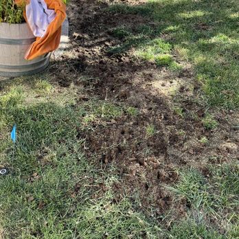 QD LANDSCAPING  - Lawn aeration - Gardeners Near Me