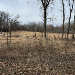 Bryant Lake Regional Park