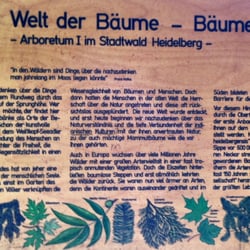 Welt der Bäume - Bäume der Welt
