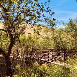 Bridge to trails Bridge to trails