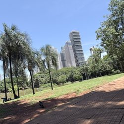 Parque Vaca Brava - Árvores