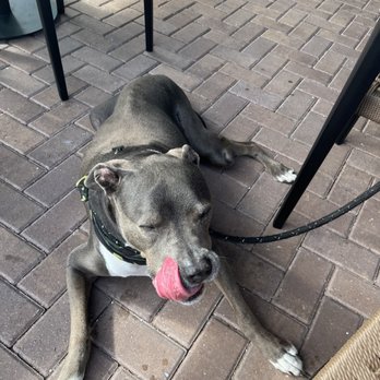Starbucks - Coffee & Tea Near Me - Delray Beach, Florida