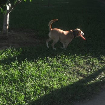 2 Divas House & Pet Services - Dog Walkers Near Me 2 Divas House & Pet Services - Dog Walkers Near Me