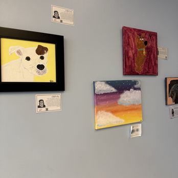 Dog Day Coffee & Nitro - Coffee & Tea Near Me - Austin, Texas