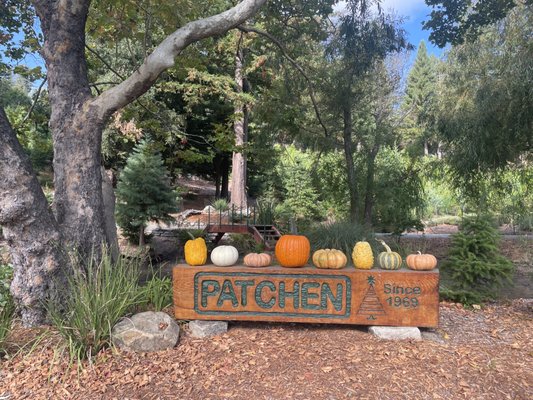 FREE ADMISSION - Come Visit Us - Mention Yelp! 
Don’t want to sit in traffic for hours…Patchen Pumpkin Patch is conveniently located 1/2 mile off Highway 17 and Summit Road in the Santa Cruz Mountains 
(10 mins from downtown Los Gatos) at our 22217 Old Santa Cruz Highway location.
10am-5pm -- Open Fridays, Saturdays and Sundays for the month of October.