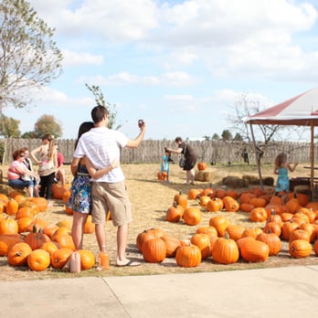 Louisburg Cider Mill - Specialty Food Near Me - Louisburg, Kansas Louisburg Cider Mill - Specialty Food Near Me - Louisburg, Kansas