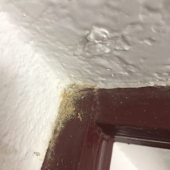 Econo Lodge Truman Inn - Filth in every crevice. - Hotels Near Me - Sedalia, Missouri Econo Lodge Truman Inn - Filth in every crevice. - Hotels Near Me - Sedalia, Missouri