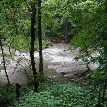Clifton Gorge - Rushing waters - Hiking Near Me - Yellow Springs, Ohio Clifton Gorge - Rushing waters - Hiking Near Me - Yellow Springs, Ohio