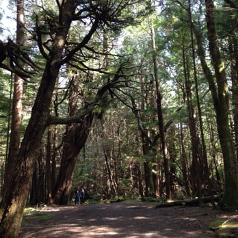 Cape Flattery - Hiking Near Me - Neah Bay, Washington Cape Flattery - Hiking Near Me - Neah Bay, Washington