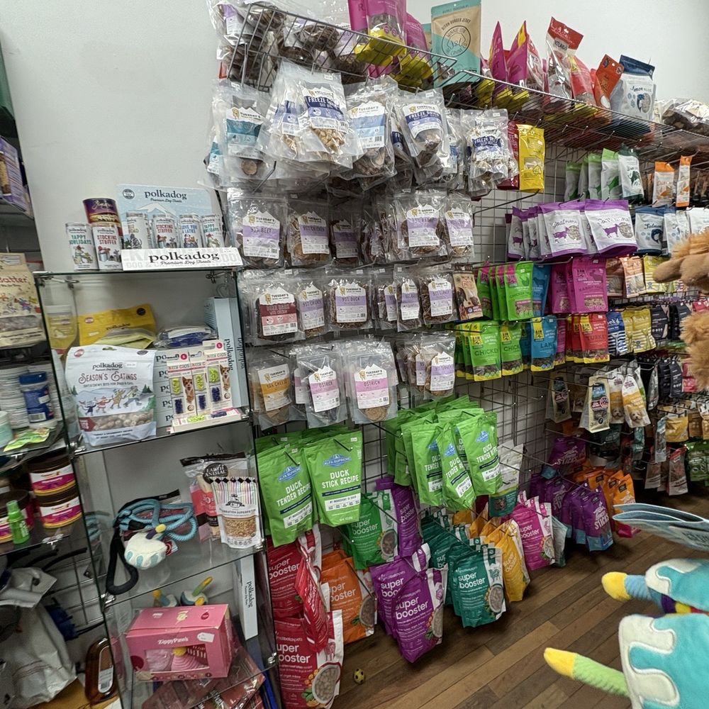 Little Creatures - Well kept organized and clean store - Pet Stores Near Me - New York, New York Little Creatures - Well kept organized and clean store - Pet Stores Near Me - New York, New York