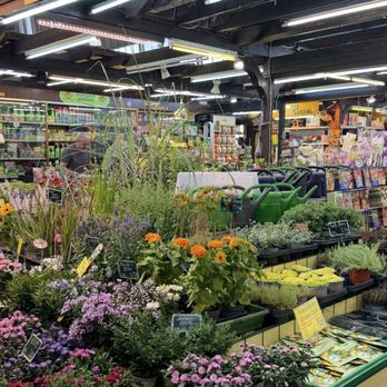 Kleinmarkthalle - Flowers - Public Markets Near Me - Frankfurt, HE Kleinmarkthalle - Flowers - Public Markets Near Me - Frankfurt, HE