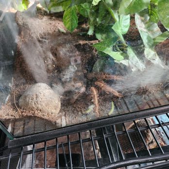 PORTLAND INSECTARIUM - Updated March 2026 - 44 Photos - 5429 N Moore ...