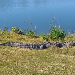 Patriots Point Golf Course