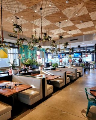 Blanco Cocina + Cantina by null