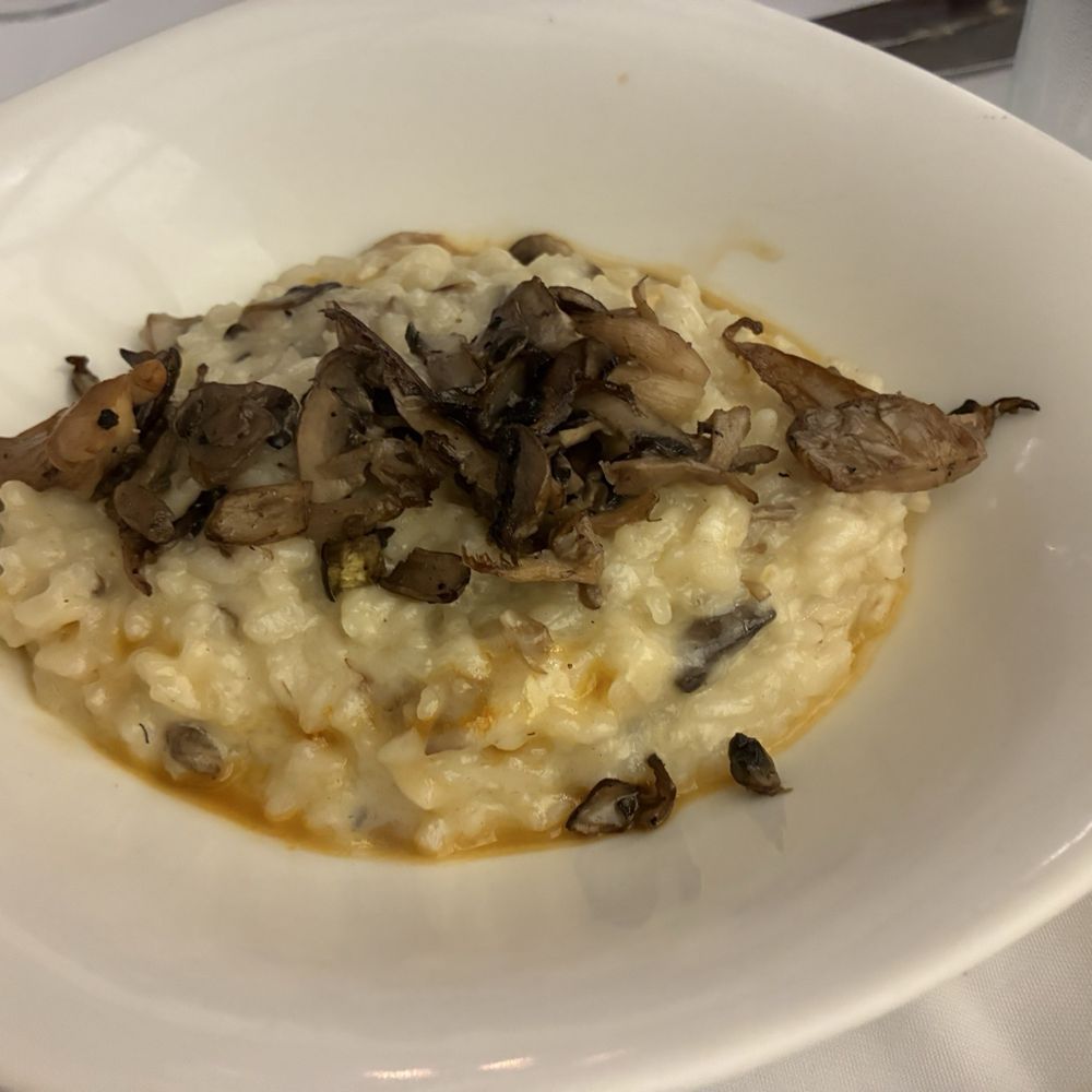 Almara - Mushroom risotto - Mediterranean Near Me - Mexico, DIF Almara - Mushroom risotto - Mediterranean Near Me - Mexico, DIF