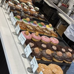 Doughnut display! Doughnut display!
