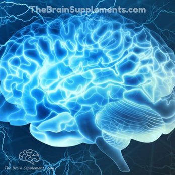 TheBrainSupplements - Vitamins & Supplements Near Me - Tampa, Florida TheBrainSupplements - Vitamins & Supplements Near Me - Tampa, Florida
