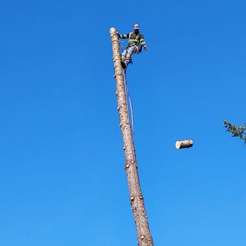 Oaks Corporation - Brett with Oaks corporation. - Tree Services Near Me - Tenino, Washington