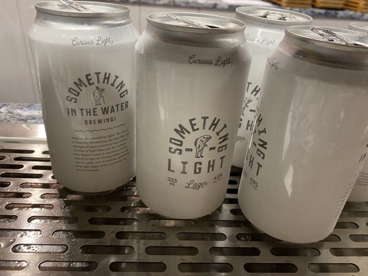 Something in the Water by null