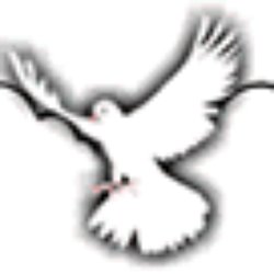 Abundant Life Medical Equipment & Supply