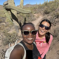 Tucson Mountain Park