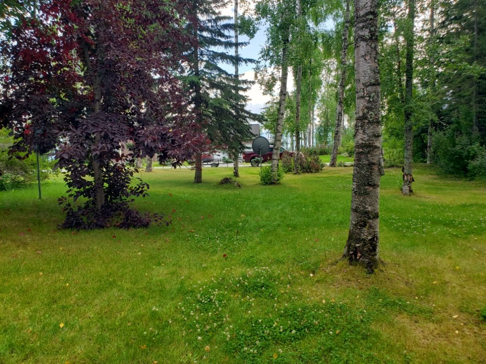 A&M Grounds Maintenance - tree service in Palmer, AK