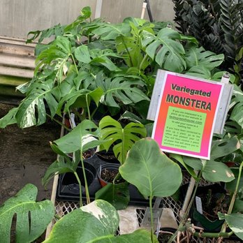 Ted's Greenhouse - Nurseries & Gardening Near Me - Tinley Park, Illinois Ted's Greenhouse - Nurseries & Gardening Near Me - Tinley Park, Illinois