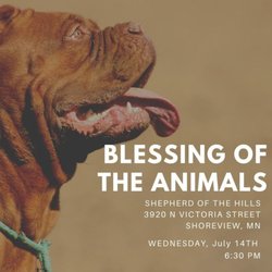 Shepherd of the Hills Lutheran Church - Outdoor Service for Blessing of the Animals 2021