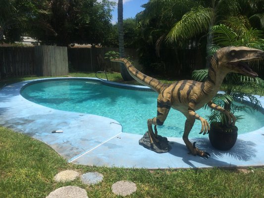 NATIVE POOLS OF BREVARD - Updated December 2024 - 19 Photos