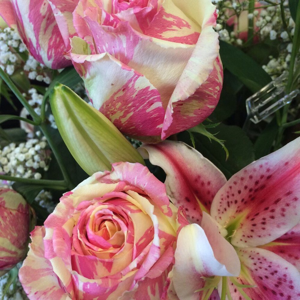 McShan Florist - Anniversary Roses "Fiesta" - Florists Near Me - Dallas, Texas McShan Florist - Anniversary Roses "Fiesta" - Florists Near Me - Dallas, Texas