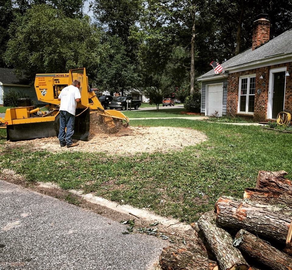 LOWCOUNTRY STUMP GRINDING 11 Photos 1846 McLeod Rd, Walterboro