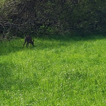 San Pedro Valley Park - Parks Near Me - Pacifica, California