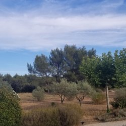 Domaine de la Pierre Blanche - French Provence