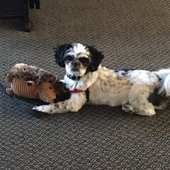Claremont Pet Grooming - Pet Groomers Near Me - Claremont, California Claremont Pet Grooming - Pet Groomers Near Me - Claremont, California