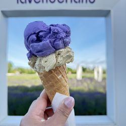 Lavenderland