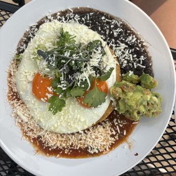 Greenhouse Cafe - Breakfast & Brunch Near Me - Kalamazoo, Michigan Greenhouse Cafe - Breakfast & Brunch Near Me - Kalamazoo, Michigan