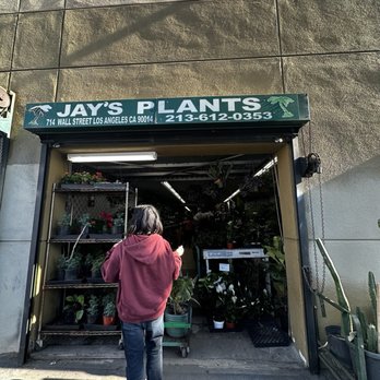 Jay's Plants - Nurseries & Gardening Near Me - Los Angeles, California Jay's Plants - Nurseries & Gardening Near Me - Los Angeles, California