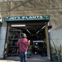 Jay's Plants