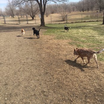 Enlightened Pet Care - Dog park!! - Pet Sitting Near Me Enlightened Pet Care - Dog park!! - Pet Sitting Near Me