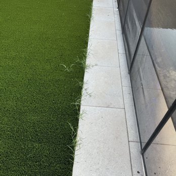 Always Green Turf - Grass growing at edge of turf recently installed - Artificial Turf Near Me - Mesa, Arizona