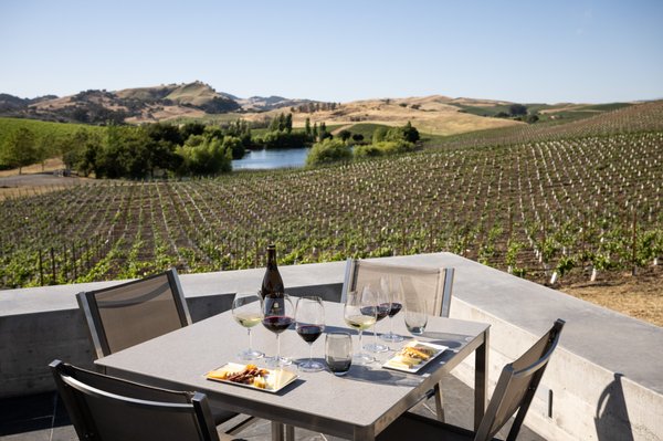 Cuvaison Winery by null