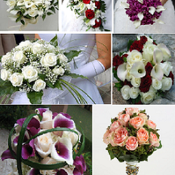 Sedge Garden Florist