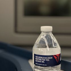 Delta Air Lines Global Services
