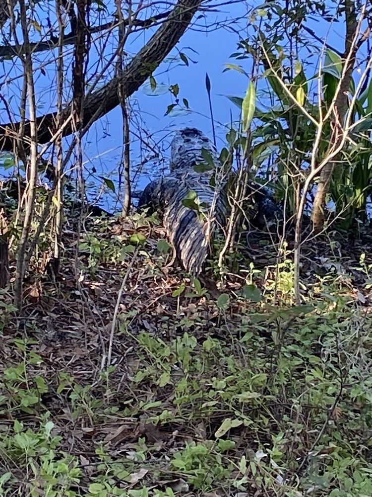 West Village Provisions