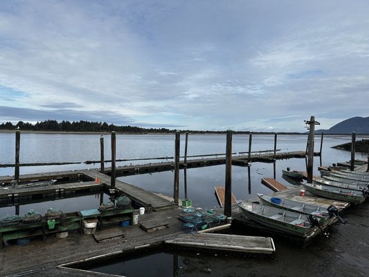 Kelly's Brighton Marina & Campground by null